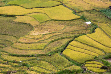 베트남 사파 풍경