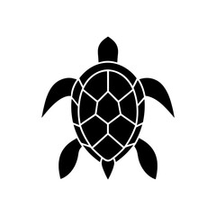 Obraz premium Silhouette of a turtle with detailed shell on transparent background