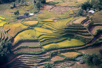베트남 사파 풍경이야기