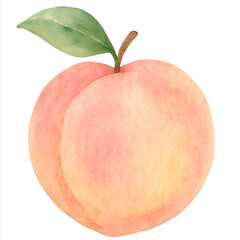 A soft pastel peach with gentle pink and yellow tones, complete with a green leaf, painted in a delicate watercolor style on a white background.