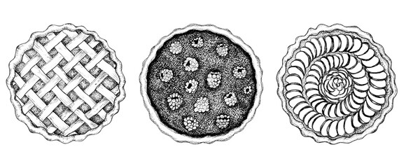 A bundle of three fruit and berry pies, tarts or cakes. Apple pie, raspberry pie, pumpkin pie. Fall harvest meal. Sweet food. Bakery clipart. Hand drawn ink and pen illustrations for recipes and menu