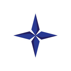 star icon vector on a white background.