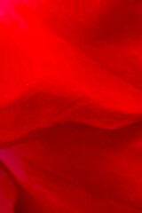 soft focused red background