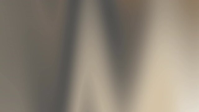 Blurred image with indistinct shapes, light and dark areas, no clear objects or details