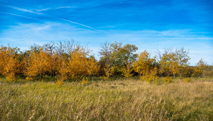 Autumn on the Canadian prairies