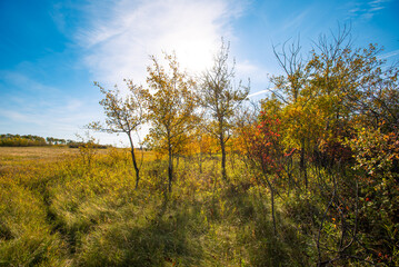 Autumn on the Canadian prairies