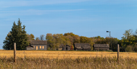 Fototapeta premium Abandoned buildings in the trees