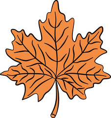 autumn maple leaf