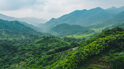 Naklejka premium Mountainous landscape with forest and road