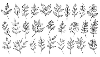 Detailed Hand-Drawn Floral and Botanical Elements Collection in Black and White