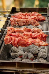 Meat kebabs on skewers are grilled on coals on the grill. Summer picnic, the process of cooking a juicy barbecue in the fresh air.