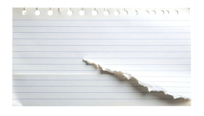 Torn Lined Paper with Perforated Edge.