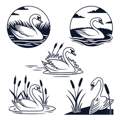 Elegant swan illustrations in various pond and water scenes with reeds and clouds