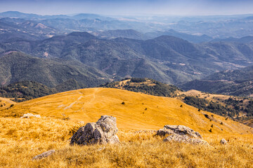 Scenic view of rolling hills covered with dry grass and green forest under blue sky with clouds in summer
