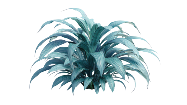 3d rendering illustration of an ornamental plant with long teal leaves symbolizing tropical decor, indoor greenery, and natural beauty isolated on white background