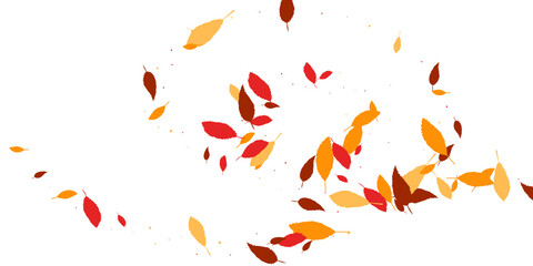 Leaves. Yellow, red, orange, brown colors. Scattered yellow, red, orange, brown autumn leaves. Unusual abstract texture. Vector.