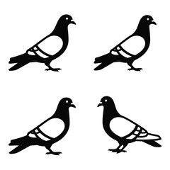 Four silhouette pigeons standing isolated on simple graphic design elements silhouette