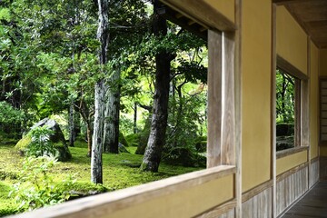 木立の緑が美しい日本庭園 島根県 松江市 由志園