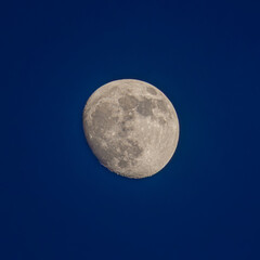 lose-up moon photography with sharp details, isolated blue background