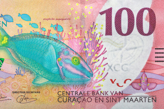Curacao and Sint Maarten 100 Gulden 2025 Banknotes.The remarkable Courthouse of Sint Maarten.The Spotlight Parrot Fish and the Common Music Volute.World money collection.Bonistics.