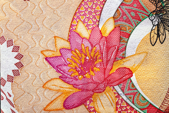 Guyana 50 Dollars 2016 Banknotes.Macau head portrait, Guyana map.Bonistics.World money collection.