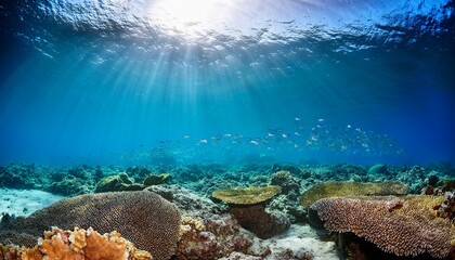 Fototapeta premium pacific ocean floor underwater seascape with some fish and natural sunlight through water surface fore reef of huahine island french polynesia