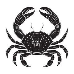 Black Crab Silhouette Vector Illustration on White Background