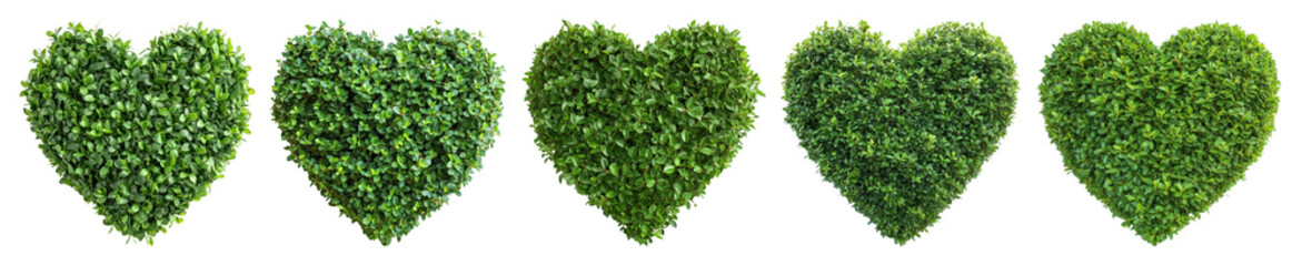 Obraz premium PNG Heart-shaped green foliage art, element set on transparent background