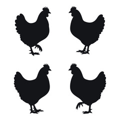 Four black silhouettes of chickens standing in different poses for decorative or agricultural projects silhouette