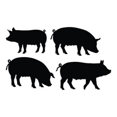 Four silhouette pigs farm animal set livestock piggy farm rural domesticated creature farmyard herd agricultural silhouette