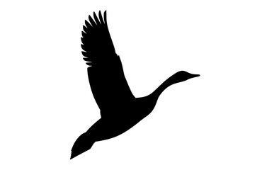 a silhouette of a bird flying in the skybird, black, crane, duck, flight, fly, goose, profile, sky, spread, stork, wing 
