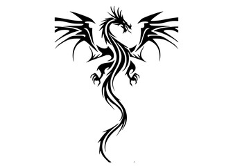 a black and white tribal dragon tattoo designblack, design, dragon, symbol, tail, tattoo 