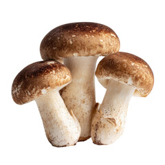 Three brown-capped mushrooms clustered close together