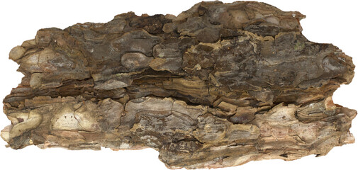 Pieces of pine bark, natural bark texture