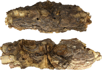 Pieces of pine bark, natural bark texture