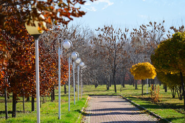 Park alleys perspective on a sunny fall day in Almaty