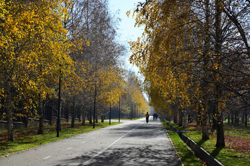 Park alleys perspective on a sunny fall day in Almaty