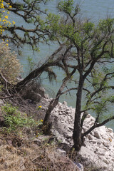 Cliff Edge, Landscape of Celestino Gelsi Dam, Tucumán, Argentina