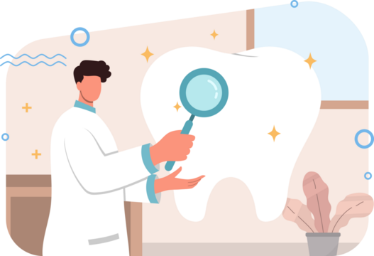 Dentist Inspecting Large White Tooth Model with Magnifying Glass in Transparent Background Illustration