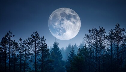 full moon over quiet forest misty night atmosphere mysterious mood