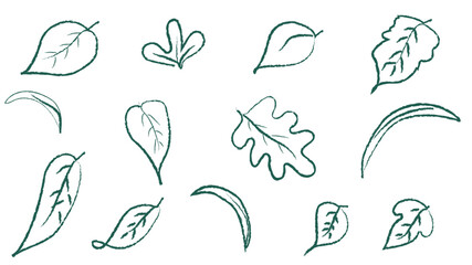 vector set of hand drawn flowers and plant