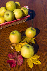 Fresh yellow apples in a wicker basket, arranged on a wooden surface with colorful autumn leaves, perfect for harvest season and organic farming.