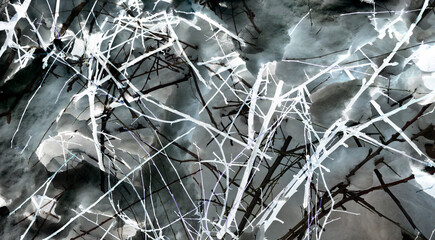 abstract background of cracks in the ground and the branches of trees