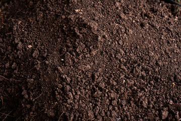 black soil dries up during the summer