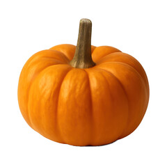 A photo realistic isolated cut-out of a [mini pumpkin], high-resolution, no background, natural lighting, transparent background, no shadow, with space on the edge, in the center