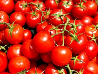 tomatoes on vine