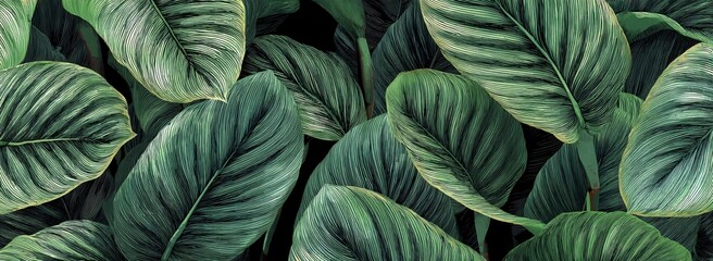 Lush Tropical Foliage A Captivating Close Up of Calathea Orbifolia Leaves with Intricate Veins and Elegant Green Tones. Generative AI