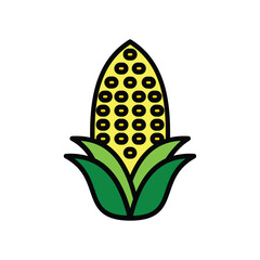 Corn on the cob with green leaves