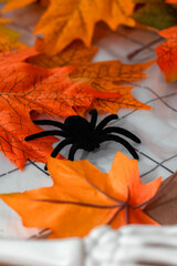 Black spider decoration among colorful autumn leaves for Halloween