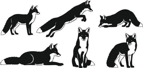 Running and sitting fox poses vector illustration sequence for wildlife animal cartoon nature design content in black and white style